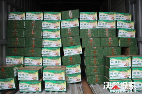 警民攜手 共克時(shí)艱 愛(ài)心企業(yè)為新野公安民警 輔警捐贈(zèng)防護(hù)用品和生活物資